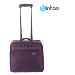 Business Laptop Soft Carry on Luggage Bags (990669TD)